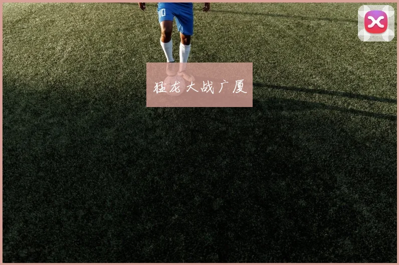 猛龙大战广厦