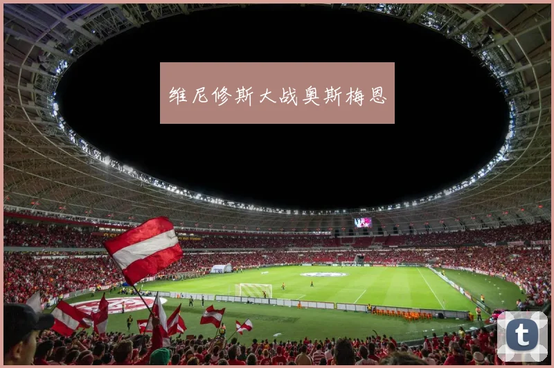 维尼修斯大战奥斯梅恩