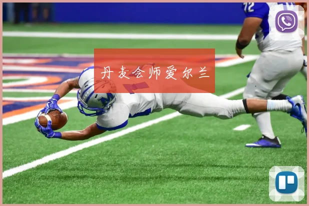 丹麦会师爱尔兰