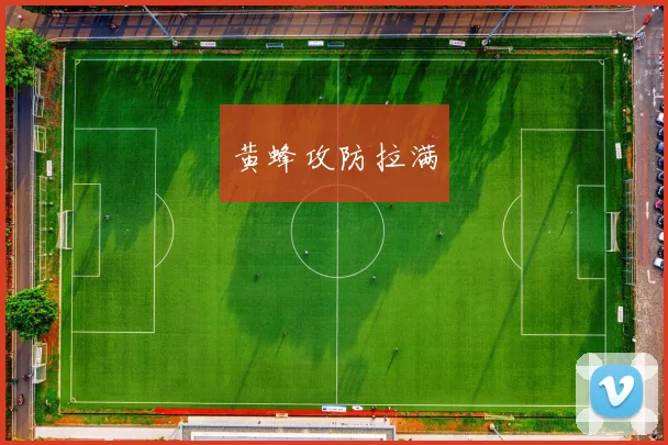 黄蜂攻防拉满