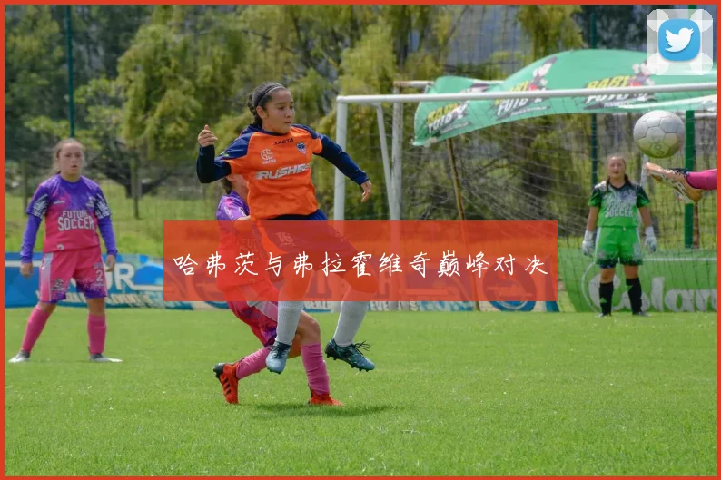哈弗茨与弗拉霍维奇巅峰对决