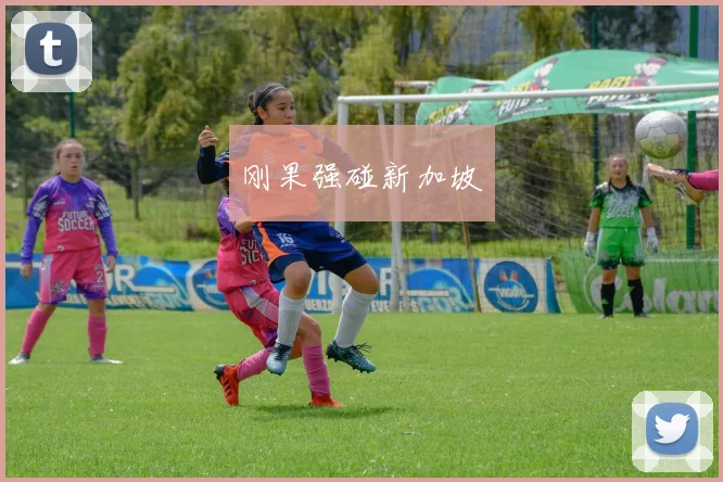 刚果强碰新加坡