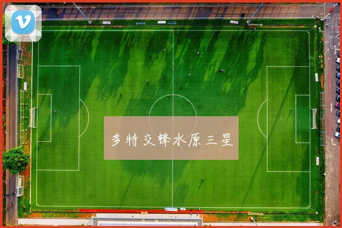 多特交锋水原三星