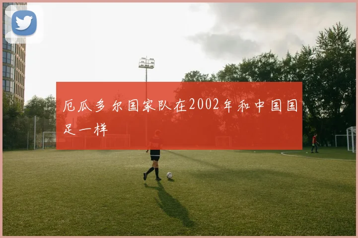 厄瓜多尔国家队在2002年和中国国足一样