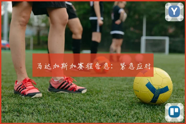 马达加斯加赛程告急：紧急应对