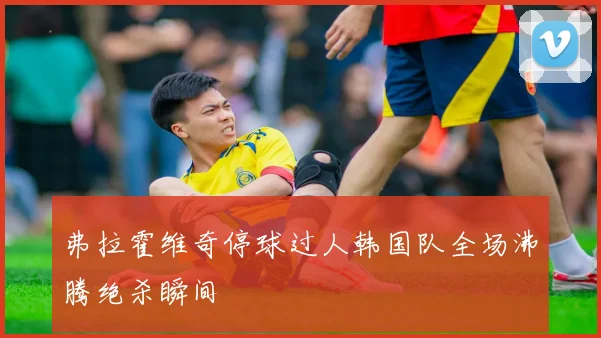 弗拉霍维奇停球过人韩国队全场沸腾绝杀瞬间