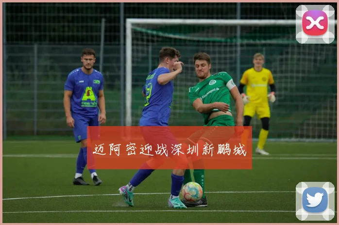 迈阿密迎战深圳新鹏城