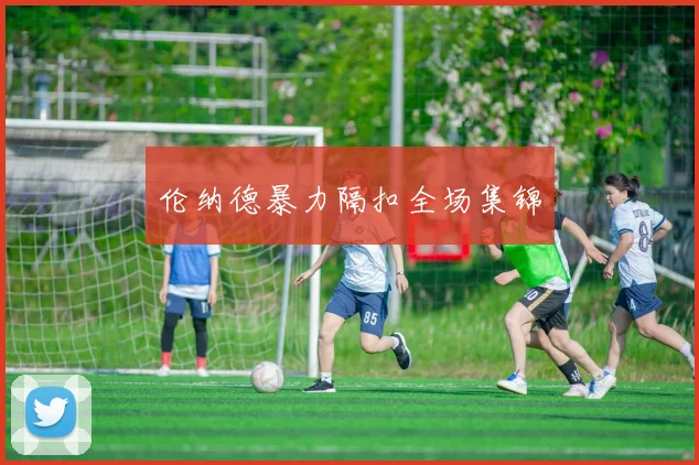伦纳德暴力隔扣全场集锦