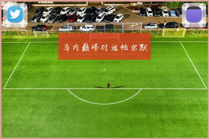 马内巅峰对话帕尔默