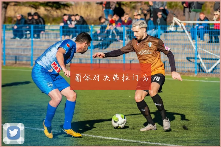 葡体对决弗拉门戈
