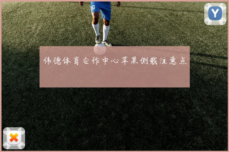 伟德体育合作中心苹果侧载注意点