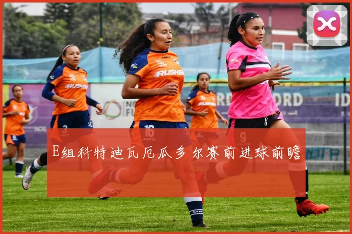 E组科特迪瓦厄瓜多尔赛前进球前瞻