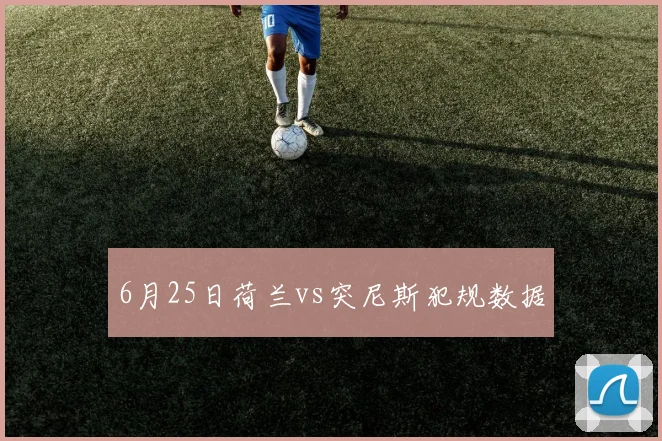 6月25日荷兰vs突尼斯犯规数据