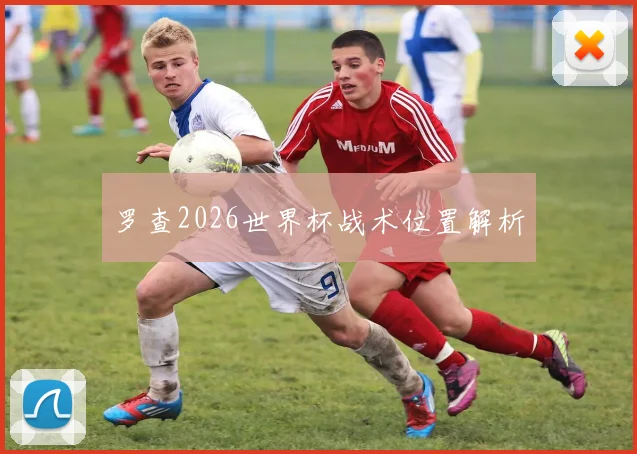 罗查2026世界杯战术位置解析