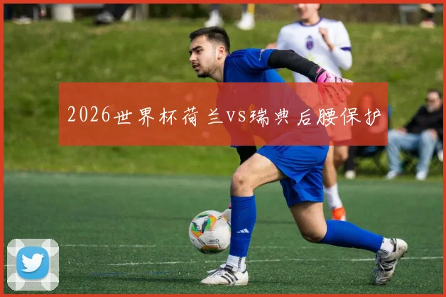 2026世界杯荷兰vs瑞典后腰保护